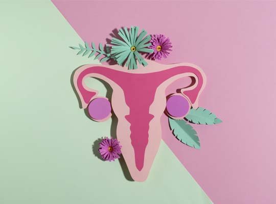 Cosmetic Gynecologist bopal lady
